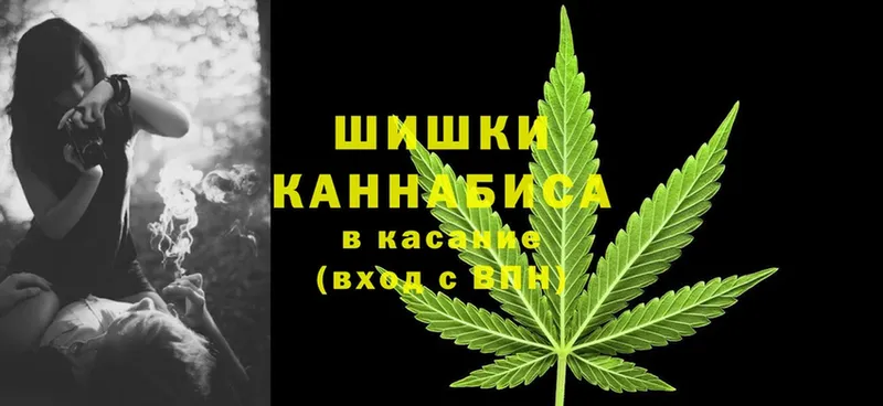 Марихуана OG Kush  Бирюч 